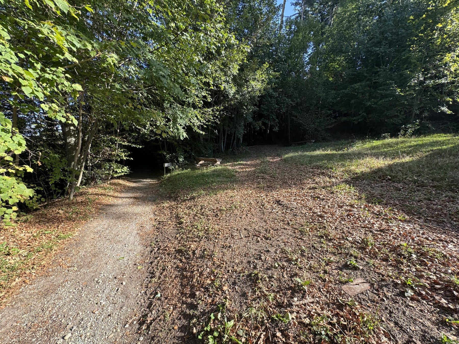 Waldweg zum Schiessplatz beim Rosinli