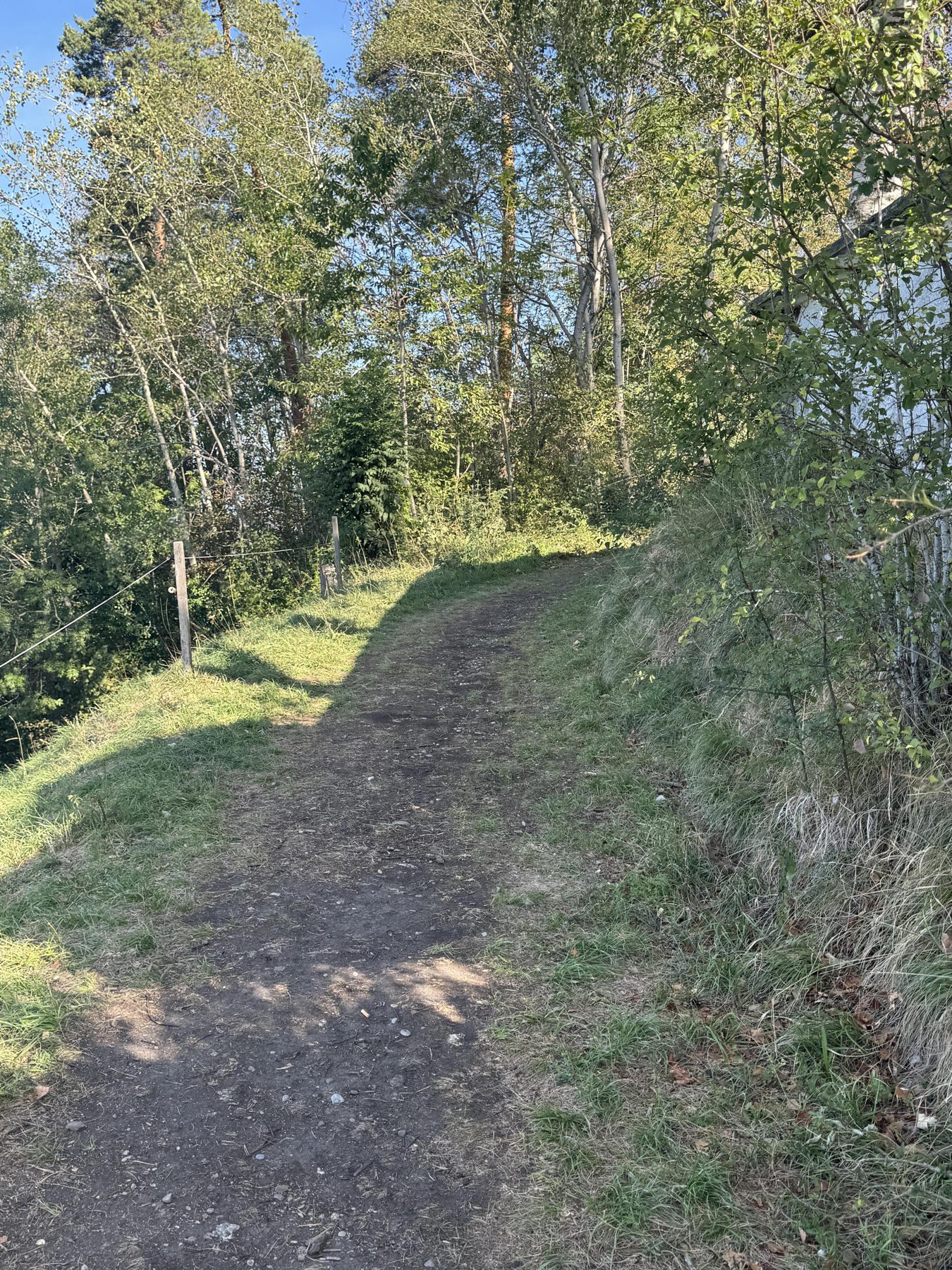 Weg am Waldrand hinauf zum Schiessplatz