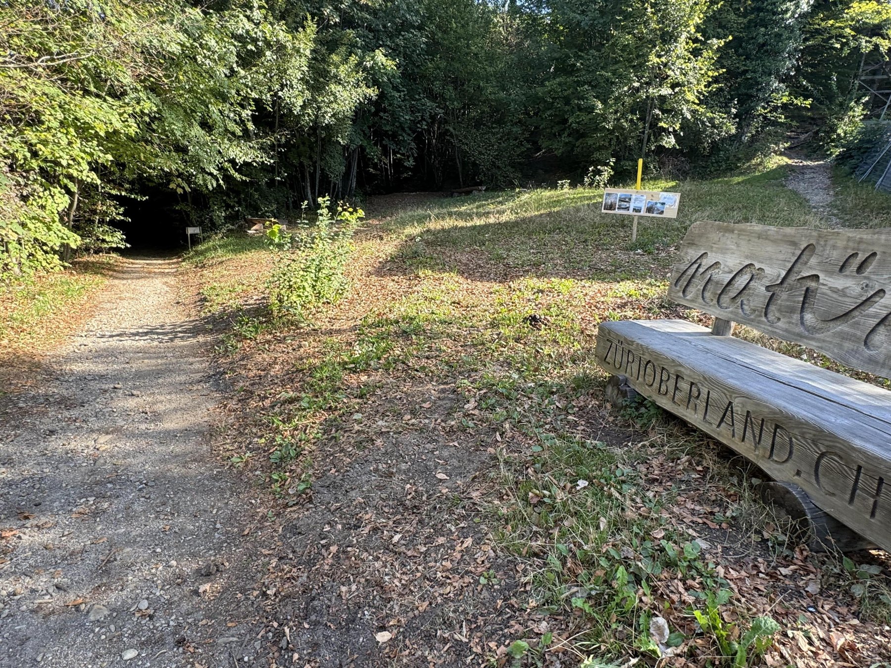 Sitzbänke am Waldrand beim Rosinli