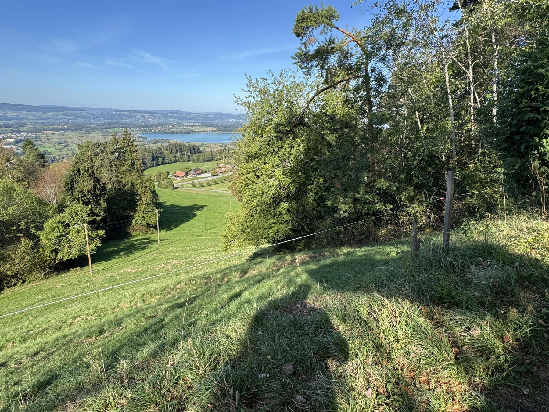 Wiesenhang beim Rosinli mit Blick auf See und Hügel
