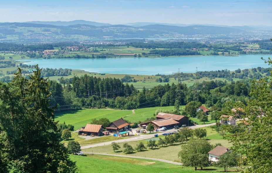 Panoramablick vom Rosinli über Hügel und See